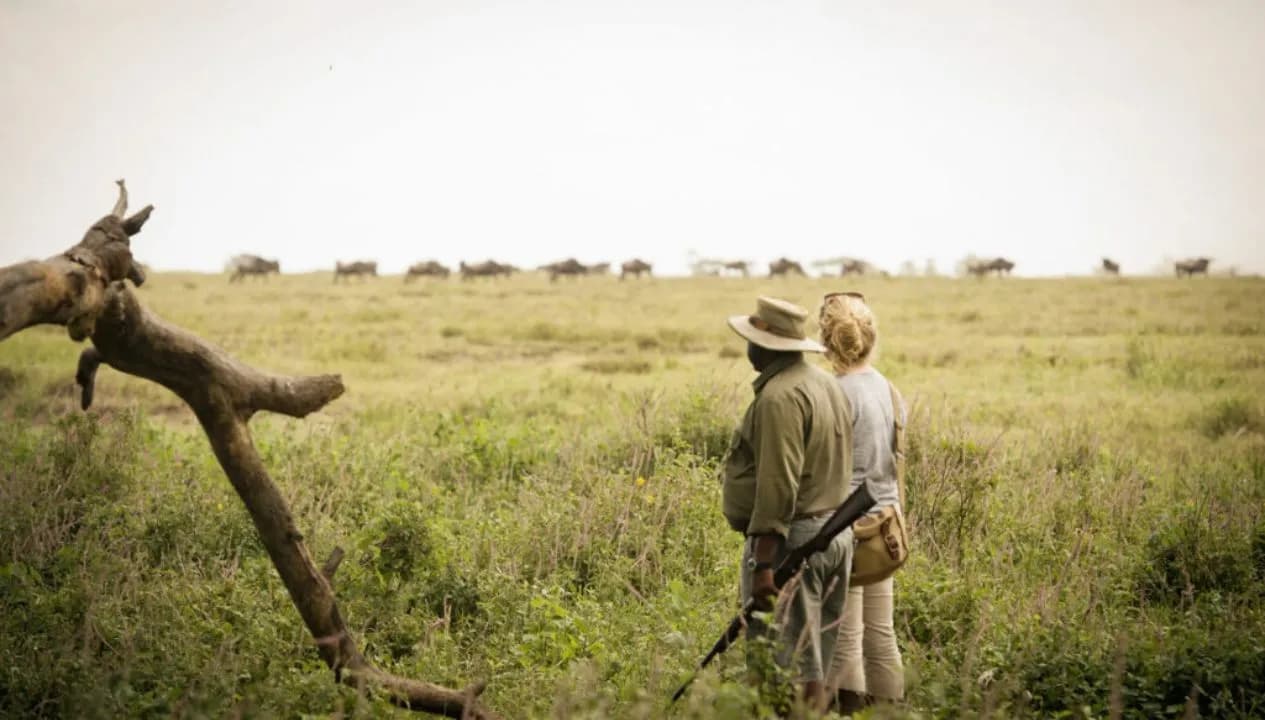 Walking Safari with Guide