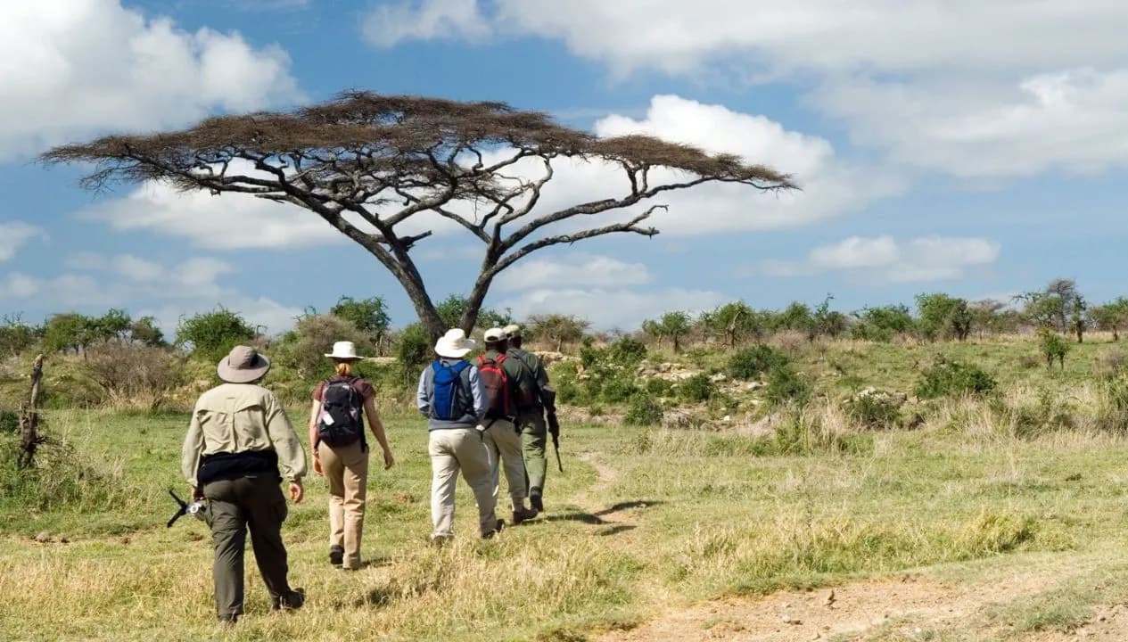 Traditional Game Drive