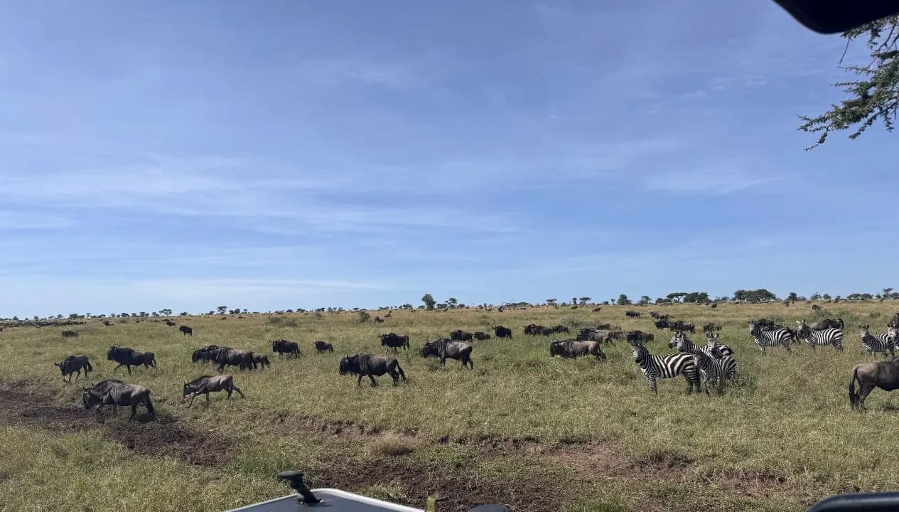 Northern Circuit Safari