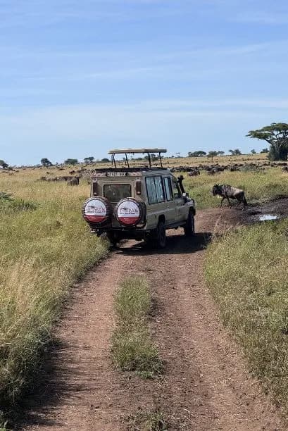 Tanzania Safari Tours