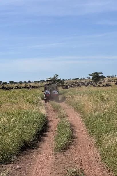 Safari Tours Tanzania