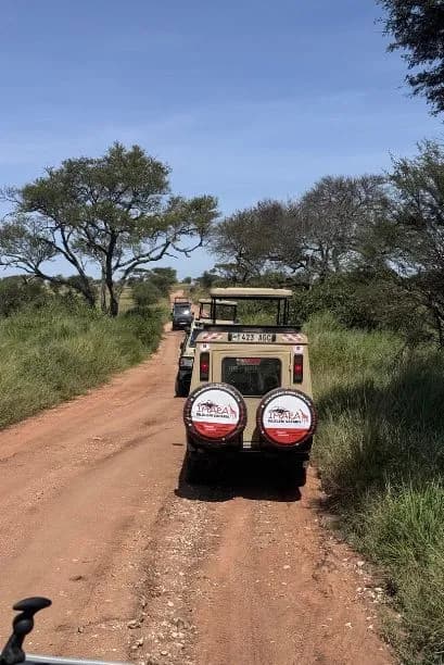 Serengeti Safaris