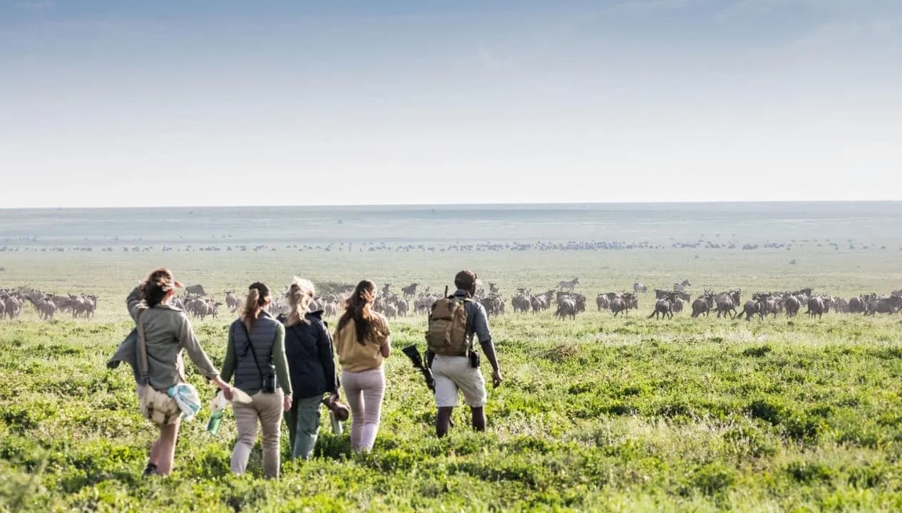 Group Tanzania Safari