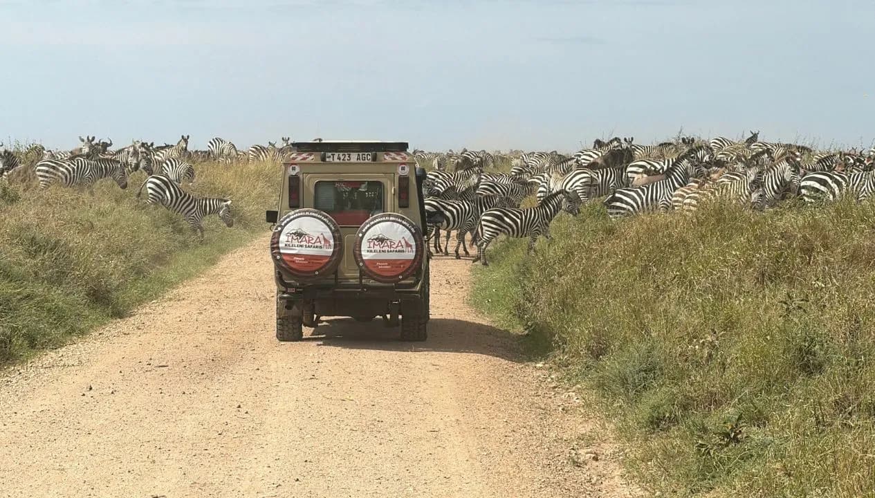 Tanzania Safari Vehicle