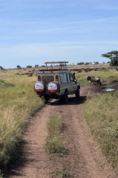 Tanzania Game Drive