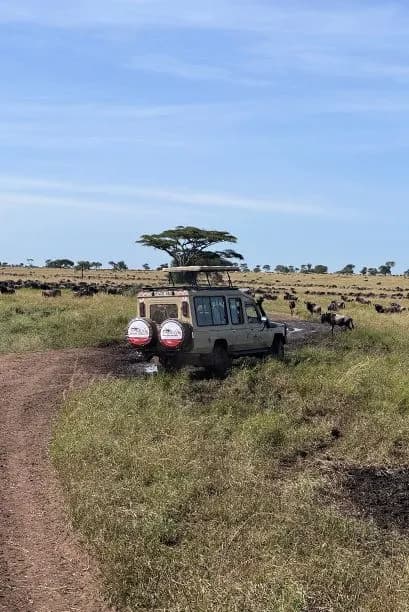 Tanzania Game Drive Safari