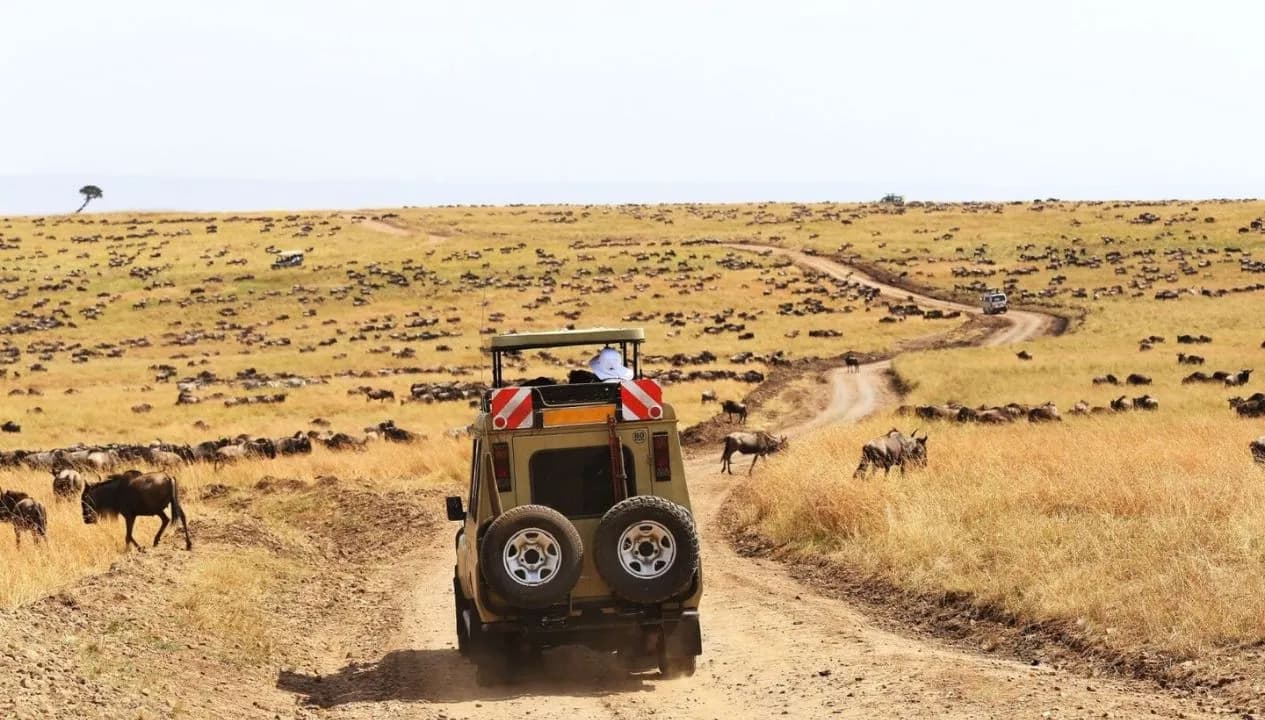Serengeti Safari with Imara Kileleni