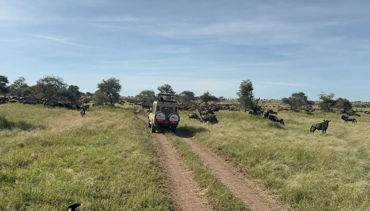 How to Choose the Right Tanzania Safari Itinerary for Your Trip