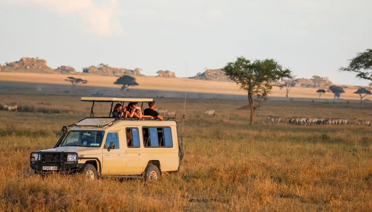 Best Time to See Animals in Tanzania