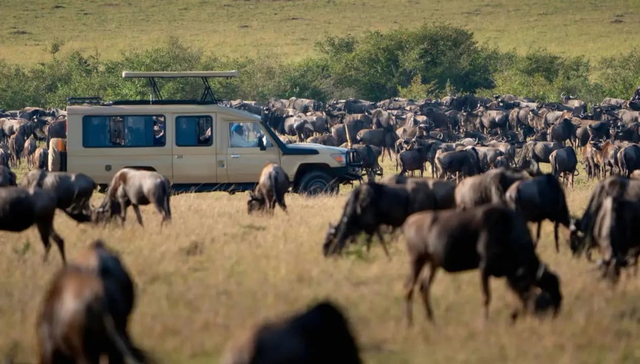Best Time to See the Great Migration