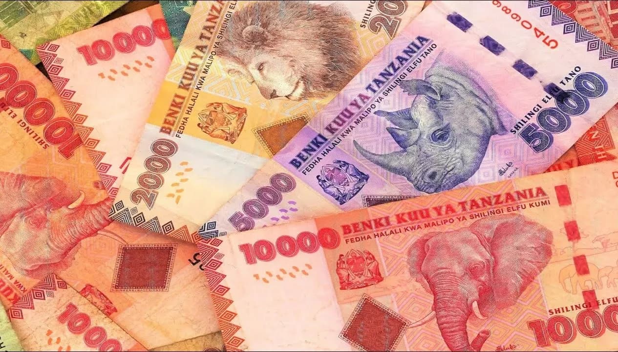 Tanzania Money