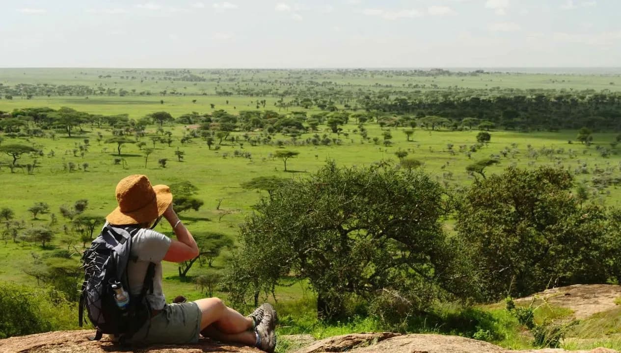 Solo Safari Travel