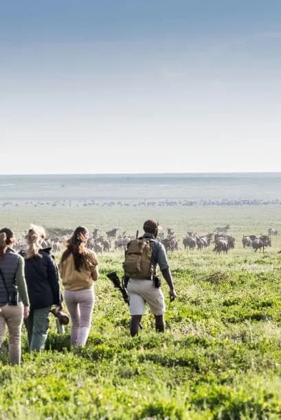 Group Safari Tours