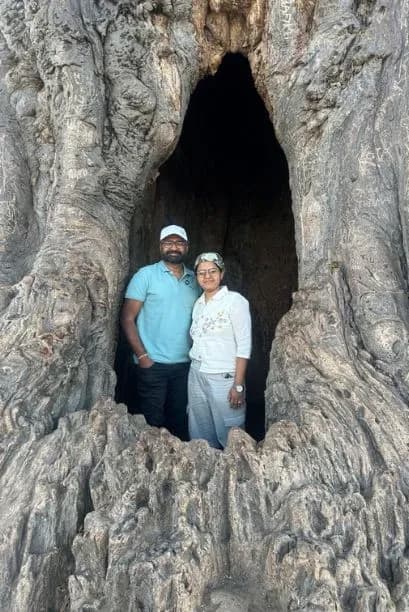 Tarangire National Park Tree