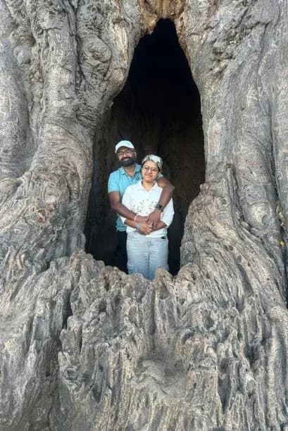 Baobab Tree Tarangire National Park
