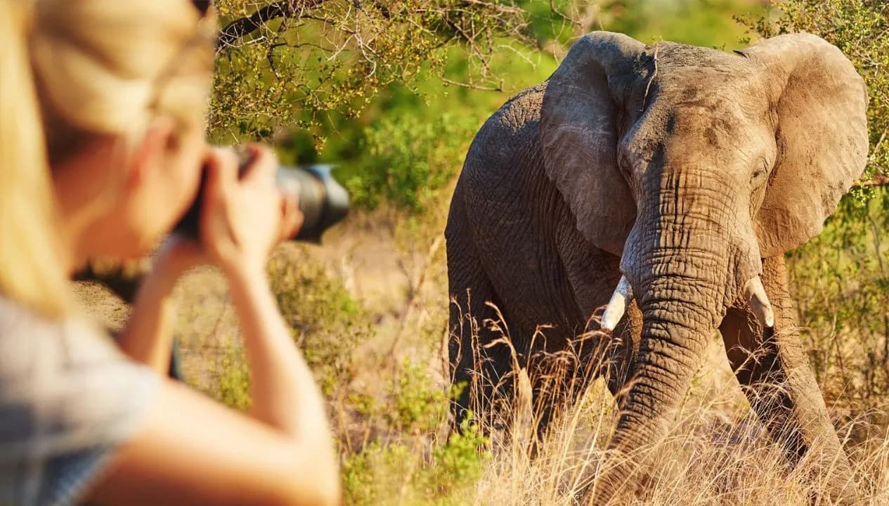 Tanzania Photographic Safaris