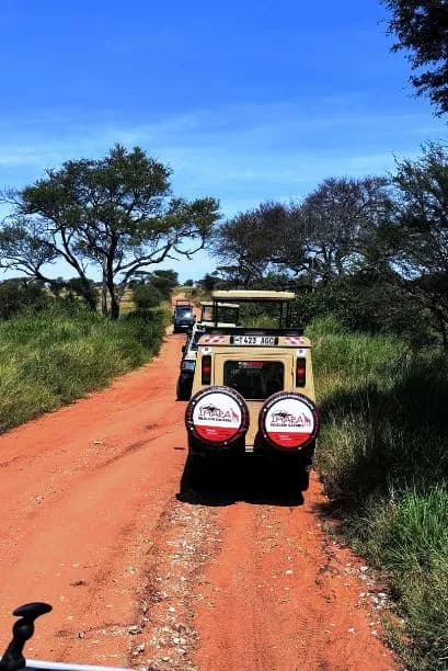 Tanzania Game Drive Safaris