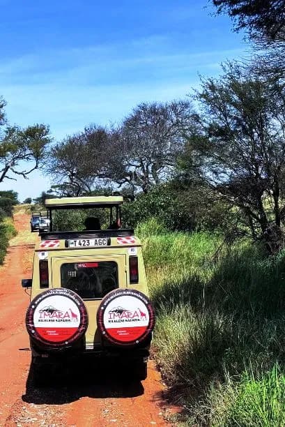 Game Drive Safari