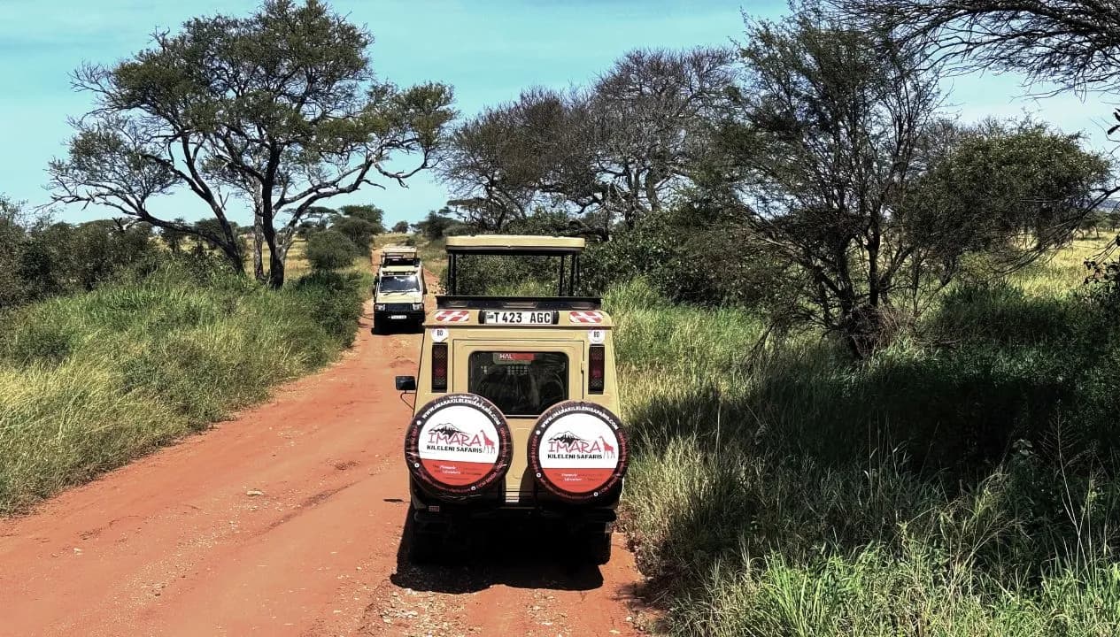 Game Drives with Imara Kileleni