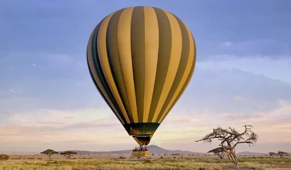 Hot Air Balloon Safaris
