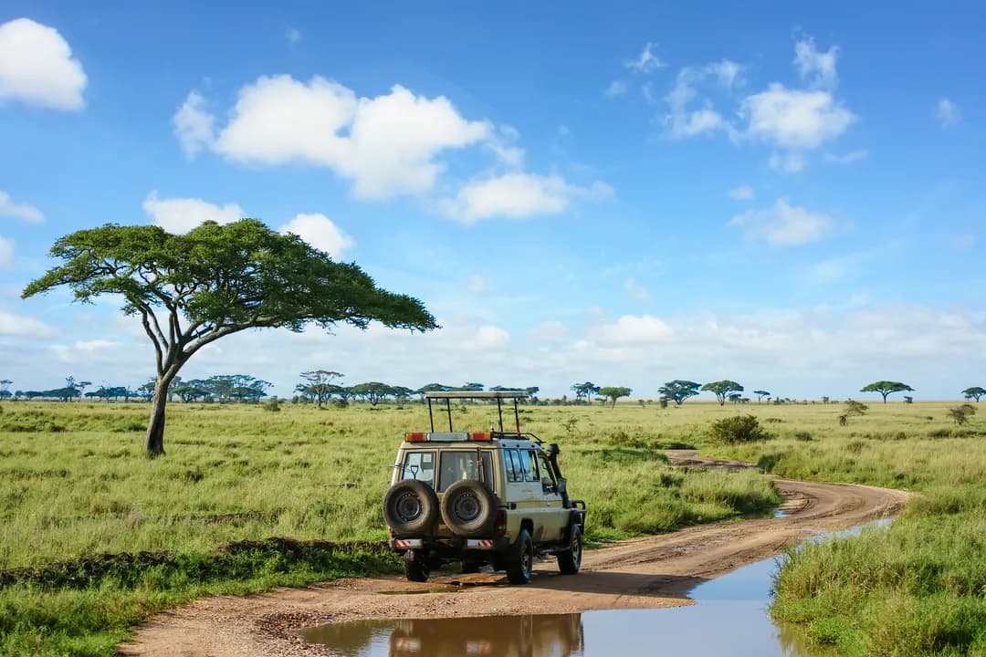 Return Safari Tanzania - Why Repeat Travellers Fall in Love All Over Again