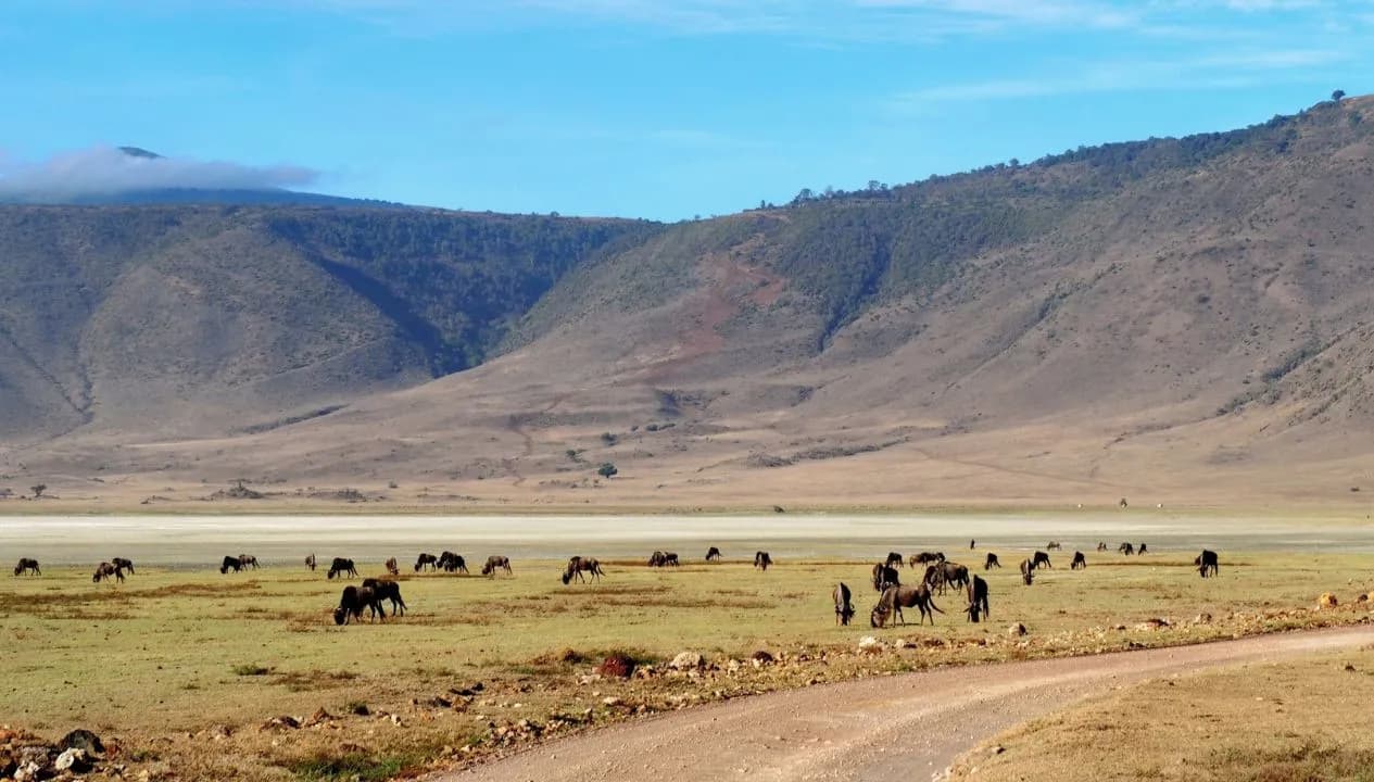 Ngorongoro Crater Safaris