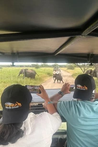 Safari Seasons Tanzania