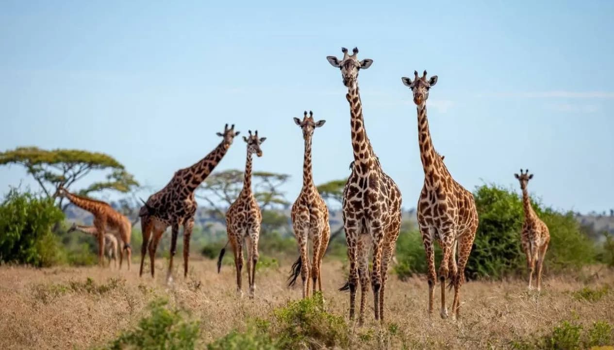 Arusha National Park