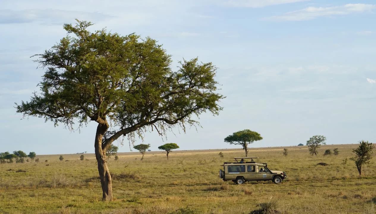Tanzania Safari Recommendations - Our Team’s Personal Favorite Places