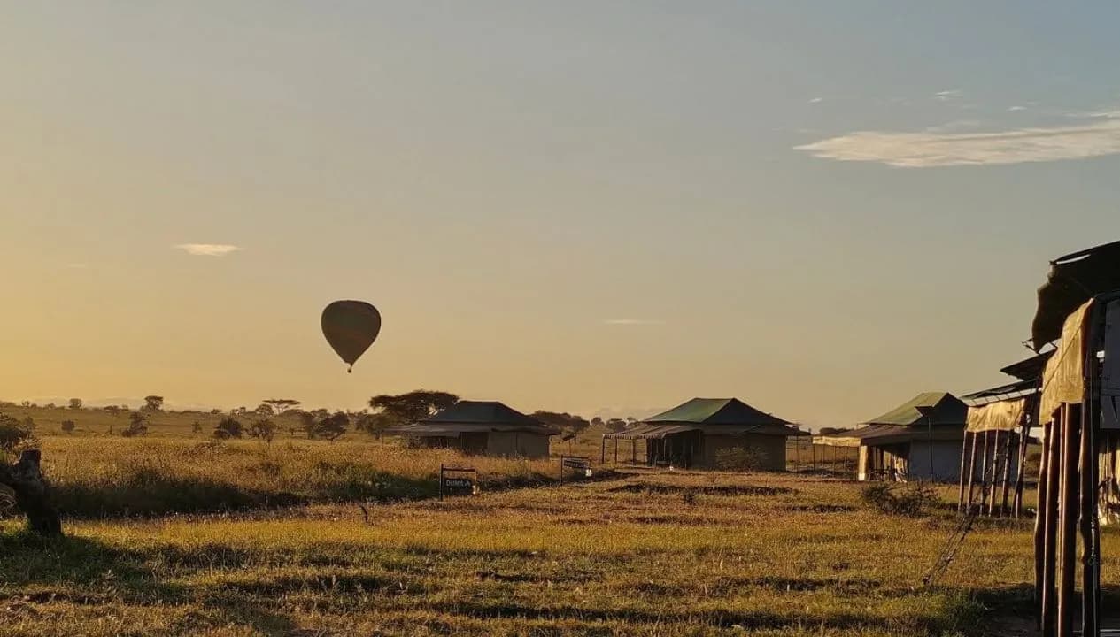 Hot Air Balloon Safari