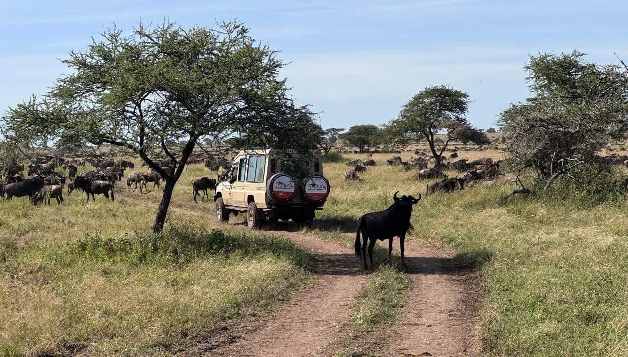 Good Time to Visit Tanzania