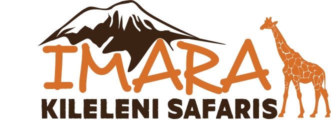 Imara Kileleni Safaris