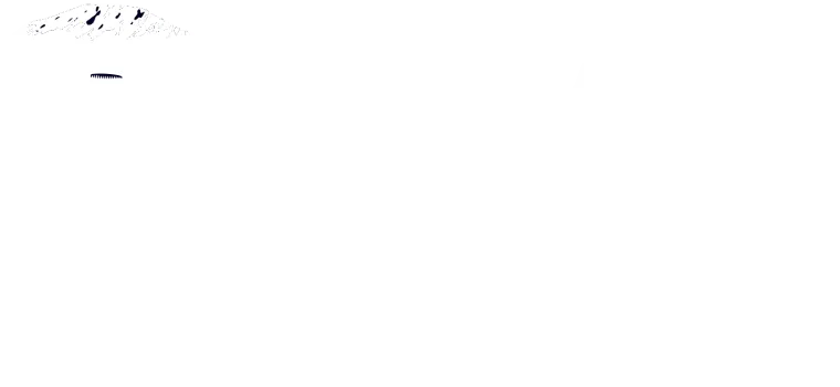 KPAP